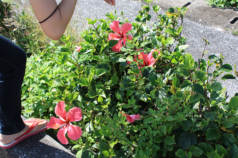 Resize0456