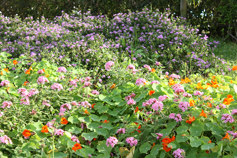 Resize0457
