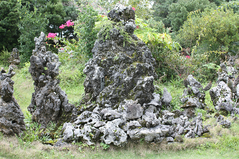 Resize0459