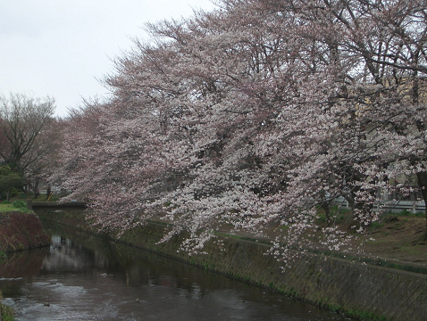 Resize0500