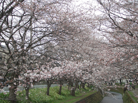 Resize0499