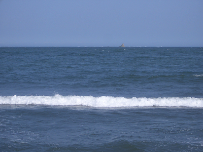 Resize0634